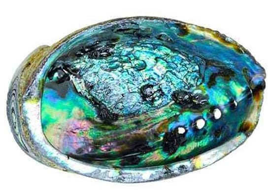 Abalone Shell Ash Tray and Combo