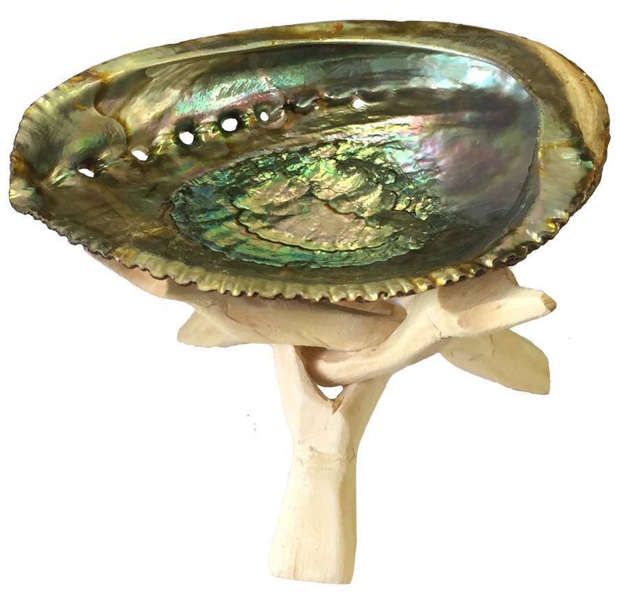 Abalone Shell Ash Tray and Combo