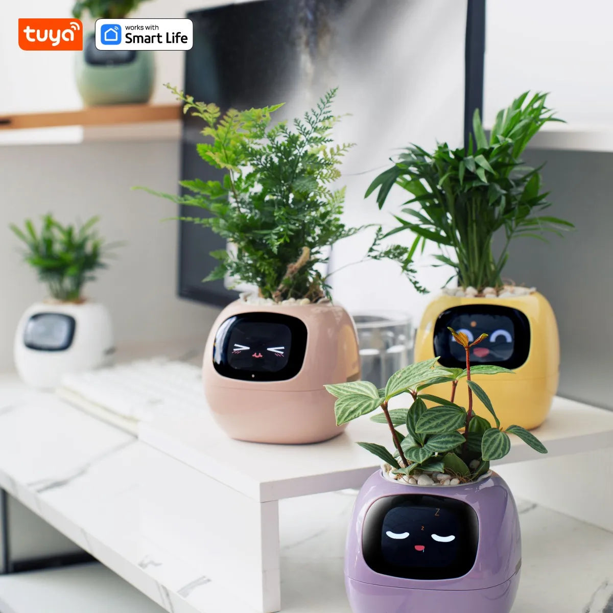 Mindful Ivy AI Smart Plant Pot: Take the Guesswork Out of Plant Care