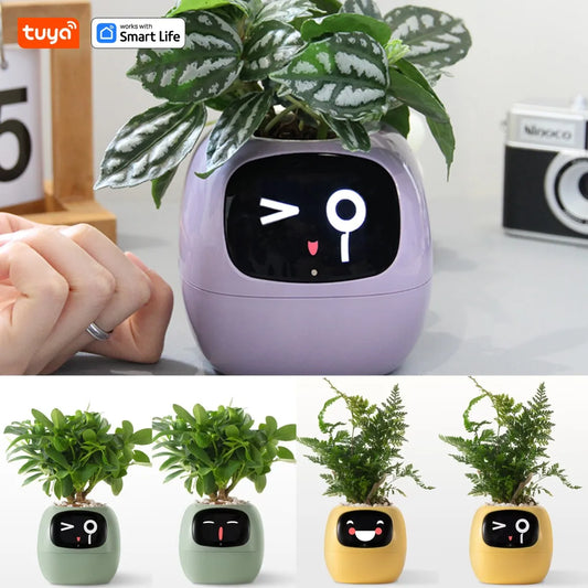 Mindful Ivy AI Smart Plant Pot: Take the Guesswork Out of Plant Care