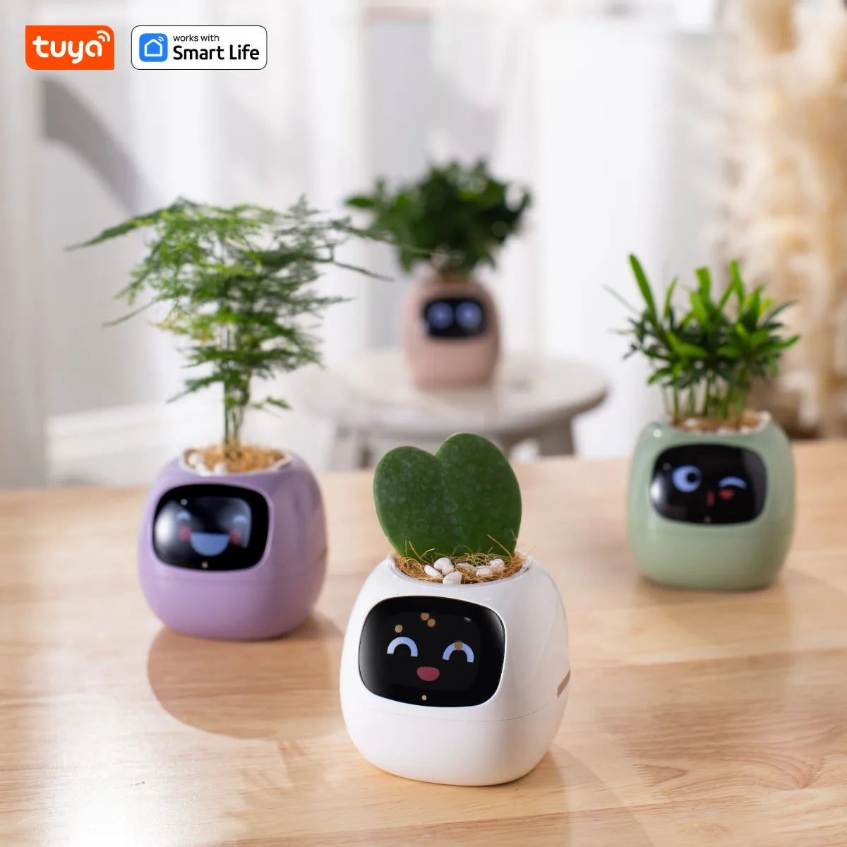 Mindful Ivy AI Smart Plant Pot: Take the Guesswork Out of Plant Care