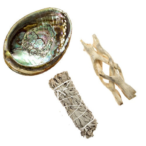 Abalone Shell Ash Tray and Combo