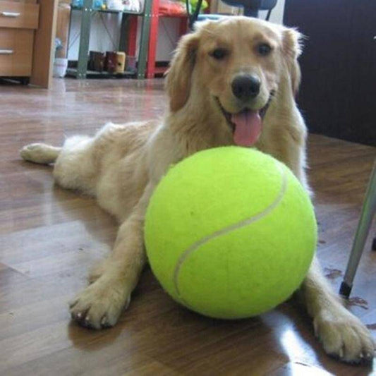 Jumbo 9.5" Tennis Ball - The Ultimate Dog Gift!